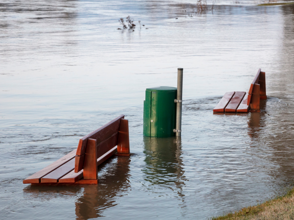 Ungdomsrörelsen har en viktig roll i klimatfrågan men har ändå inte blivit inbjudna till klimattoppmöte.