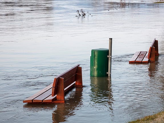 Ungdomsrörelsen har en viktig roll i klimatfrågan men har ändå inte blivit inbjudna till klimattoppmöte.